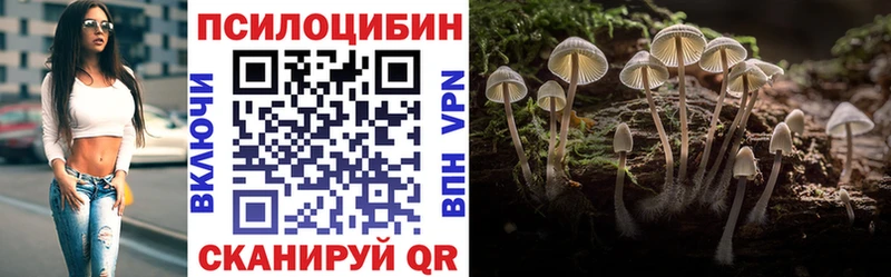 Псилоцибиновые грибы Psilocybe Порхов